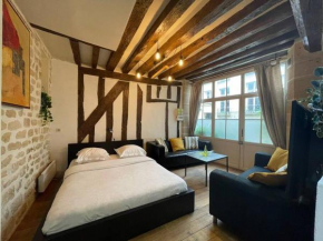 Charming Apt Rue st André des arts